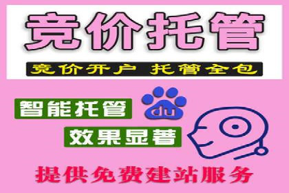 案例分享：SEM代运营服务公司助力企业实现业绩突破